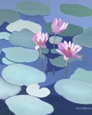 Water Lilies