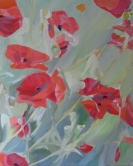 Poppies