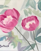 Peonies