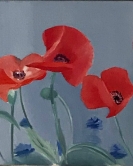 Coquelicots