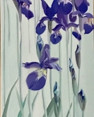 Irises