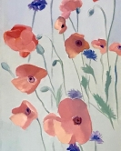 Poppies et Bleuets