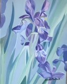 Blue Irises