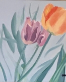 Tulipes