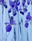 irises 3